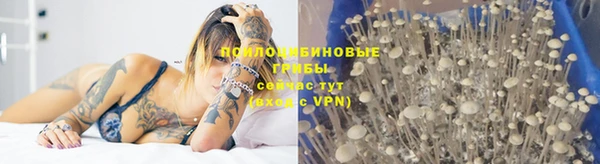 ешки Сосновка