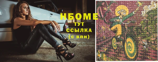 СК Сосновый Бор