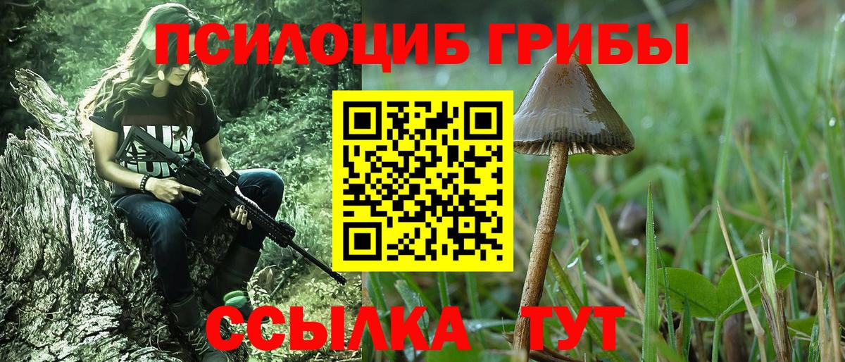 Галлюциногенные грибы прущие грибы  купить   Буйнакск  Псилоцибиновые грибы MAGIC MUSHROOMS  Вход с VPN 