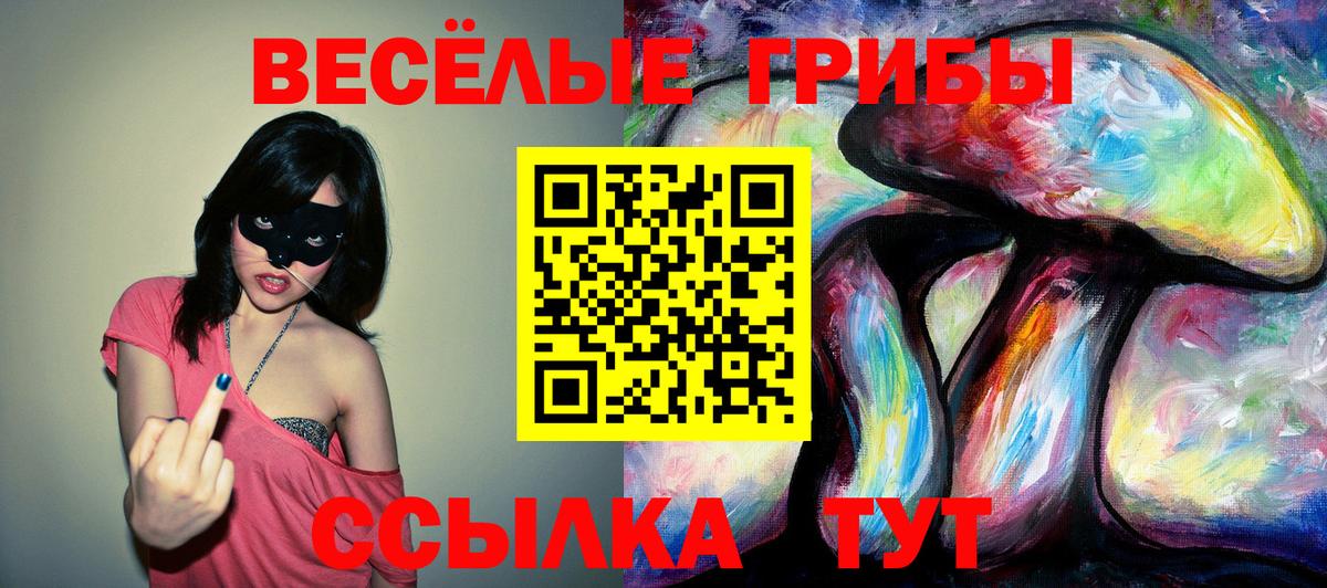 Псилоцибиновые грибы мицелий Буйнакск